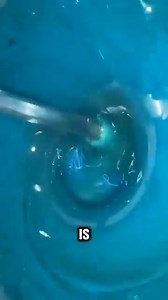 18K views · 51 reactions | Did You Know How To Create Pipes? #knowledge #facts #DidYouKnow #pipes #satisfying #fbreelsfypシ゚viralvideo | 홝홖ힺힺ홞홣홣헲홨홨 | Facebook