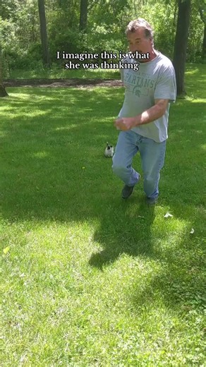 Calico Kitten Thoughts: Heartwarming Cute Cat Moments