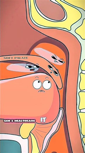 Why Do We Snore When We Sleep 😴 #shorts