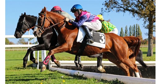 Poneys au Galop : résultats, vidéos et photos des courses du 12 octobre à Saint-Pierre-La-Cour