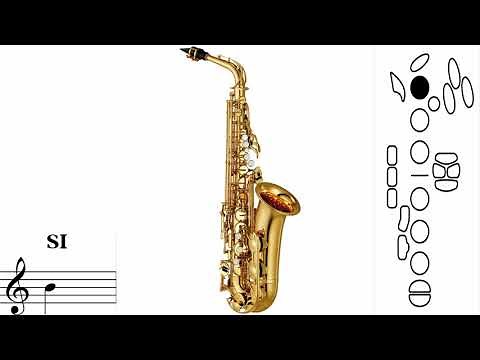 Partitura + Tutorial Cu Note - Rau Ma Dor Ochii Ma Dor