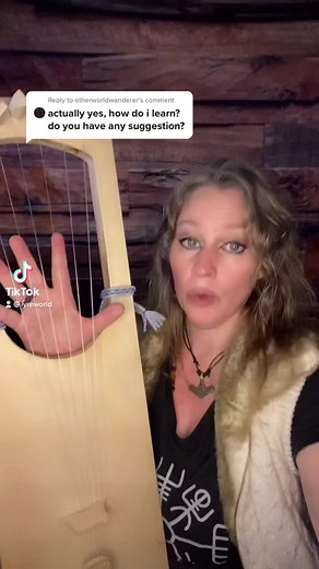 How to Play the Lyre: A Complete Beginner's Guide