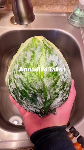 2.5M views · 34K reactions | Armadillo Tails ! #yummyfood #recipes #texas #food #grilling #fyp | Pepperbellypete_official | Facebook