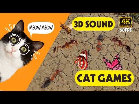 CAT GAMES 🐾 Ultimate Cat Screen Game – 3D Ants🐜, Butterflies🦋 & Bees🐝 for Endless Fun!😻 | 3 Hours