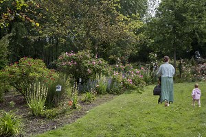Roseraie Les Chemins de la Rose, DOUE-EN-ANJOU