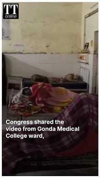 After Rats, Dogs — New Video of Poor Hygiene at Gonda Medical College Surfaces #uttarpradesh #dog