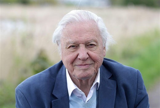 What is it like filming a David Attenborough nature documentary?