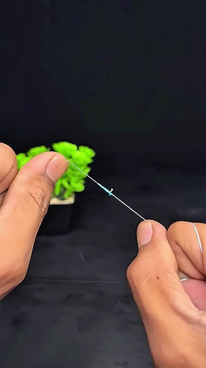 The GT knot (Giant Trevally knot) is one of the most resistant lashings to join the multifilament line (main line) to the monofilament or fluorocarbon leader, and the “moth” (or final zigzag/half-turn finish) serves to lock it with absolute safety. #GT #tutorials #fishingtips #fishing