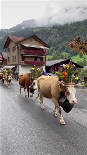 Switzerland’s Most Magical Valley Looks Like Heaven 🇨🇭✨🏔️