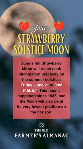 The June Strawberry Moon will be extraordinary. The night of this Full Moon on Friday, June 21, is just a day after the summer solstice (June 20). It will be the very lowest full Moon we’ve seen in years! Learn more details here. Almanac.com/Moon-June | The Old Farmers Almanac
