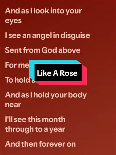 Like A Rose by A1 - Song Lyrics Video | Karaoke Version