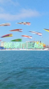 29K views · 203 reactions | Passes are now live for Baja Beach Fest...