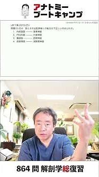 【10-254】筋とその支配神経との組合せで正しいのはどれか