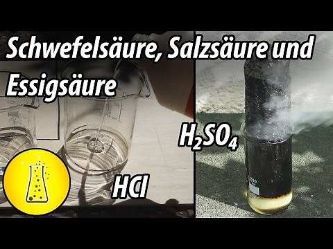 Sulfuric acid, hydrochloric acid, and acetic acid! (with a knowledge reactor)