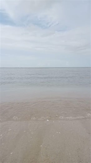 Relaxing Ocean Waves 🌊 Tropical White Sand Beach for Sleep & Stress Relief