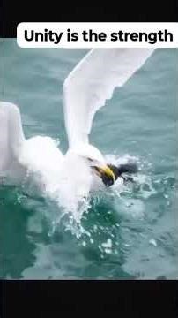 Good Lesson for unity