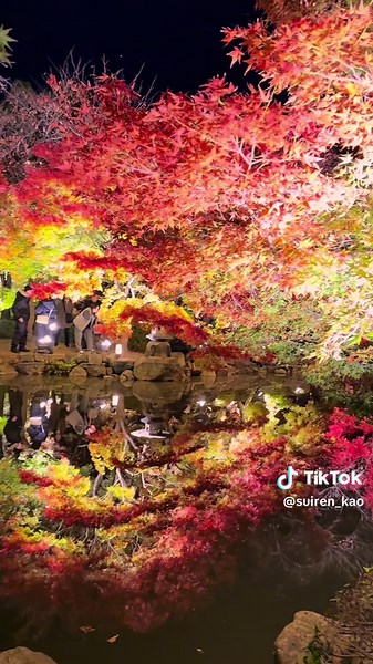 京都の紅葉とライトアップスポット