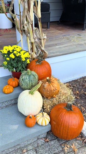 These steps were missing a little fall magic… now they’re ready for cider sipping and fresh-baked treats. Find pumpkins, mums, hay, gourds, and more at Hickory Hill Orchard this weekend! #FallFrontPorch #PumpkinSeason #FallDecorInspo #CTOrchard #HickoryHillOrchard