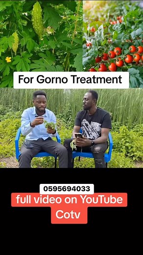 50K views · 852 reactions | #fypシ゚viralシfypシ゚viralシalシ0595694033 #facebookviralvideo2024fypシviralシvidasiguemeシシ #home #fypageシシシシ #fypシ゚viralシfypシ゚ #goviral #H # | Nana Alhaji Adams | Facebook