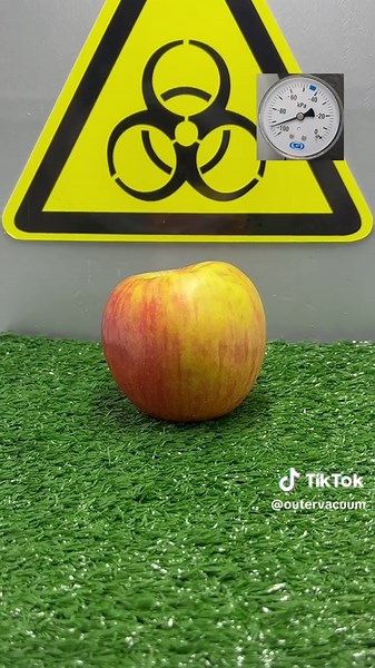 What will happen with apple in outer space?! #science #experiments #usa_tiktok