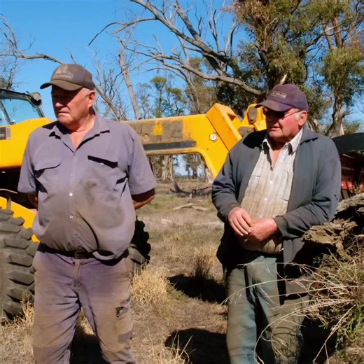 The Rata Power Claw.