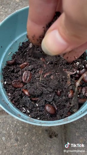 growithjessie on TikTok