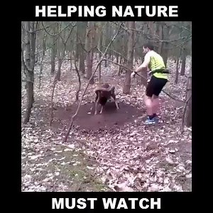 21K views · 91 reactions | Helping nature ... | Videos | Facebook