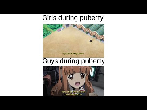 Girls und Panzer Memes 1
