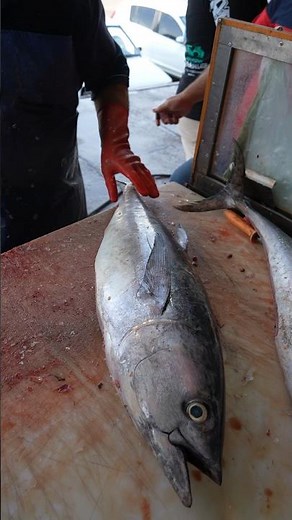 Tuna Cutting: Fillet, Debone, Slice