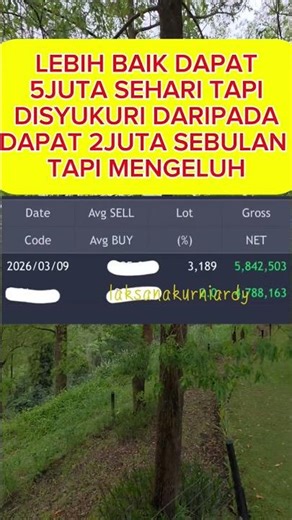 WALAUPUN IHSG MERAH TETEP ADA CELAH BAGI YANG FAHAM POLA BID OFFER #saham #bidoffer