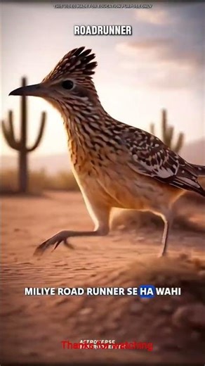 Daily Knowledge #Shorts”Quick Knowledge That Actually Matters”