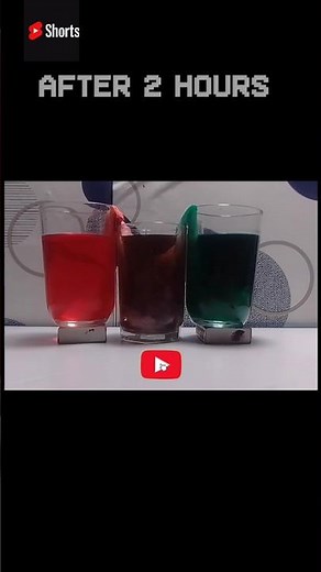 🌈 “Magic Water Experiment | Capillary Action | Red + Green = Brown Color Science Trick”