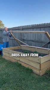 20K views · 3.2K reactions | DIY Raised Garden Bed Cover #diy #garden #strawberries #gardening #gardenproject #gardeningtips #gardenideas #growyourownfood | Salty Acres | Facebook