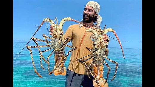 Monster Lobster Caught on Australia’s Great Barrier Reef