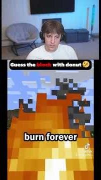 Guess the block with donut🤔