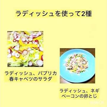 ラディッシュを使って2種