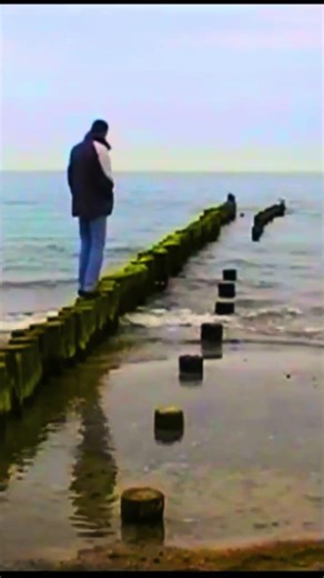 Wenn man das Meer liebt, aber keine nassen Füße will 😂