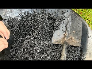 Biochar | How to Apply In Your Garden