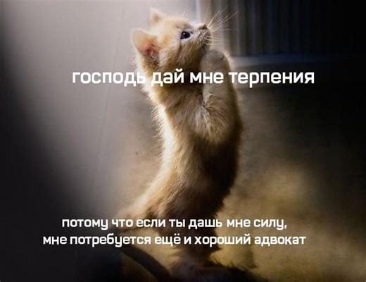 Скрины из соцсетей от АРОН за 17 февраля 2026 на Fishki.net