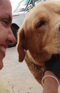 una vida, dos vidas, cientos de vidas, Miles de vidas , que tanto entiendes lo que significa salvarlos, atenderlos, alimentarlos. a diario tenemos una responsabilidad con cientos de animales, a diario enfrentamos una decisión ! seguir o dejarnos vencer ! FundaBolivar se declaró en crisis y en esta emergencia solo nos queda pedir tu colaboración ! no tenemos más nada que esperar tu buena voluntad ! Eres tú quien le da vida a cada una de estas acciones ! tu y nosotros somos FundaBolivar ! no permi