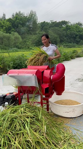 Portable Wheat Thresher Millet Sorghum with Gasoline Engine