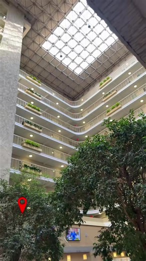 Stay at Embassy Suites Near DFW Airport for Ultimate Comfort