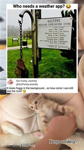 This is Our Funny Journey！#funny #funnyvideos #memes