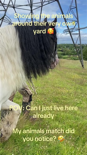 Their guided tour of the place 🥰 #fyp #foryoupagе #horses #stables #dog