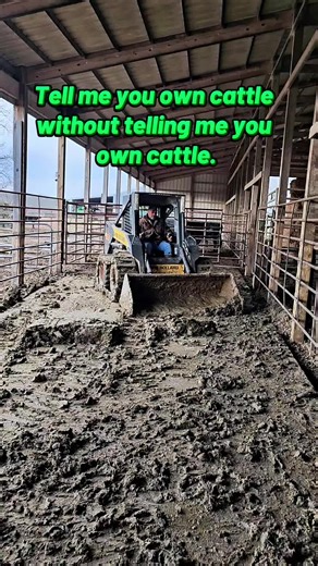 That's all cow poop! The glamorous side of owning cattle. Living the dream one scoop of cow poop at a time. #cattle #cattlefarm #farmlife #farmtok #cleaningupcowpoop