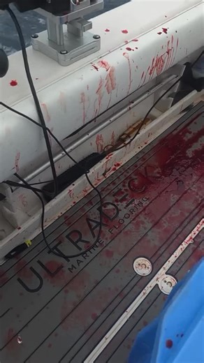 Florida Sport Fishing on Instagram: "@ultradeckflooring uses closed-cell construction in their products to ensure they remain watertight and odour-free while resisting bacterial growth. After a long day on the water, their easy-to-clean surface allows you to quickly remove any slimy residue or bloodstains from the deck, leaving you with a pristine boat ready for your next trip. Link in bio to learn more #fsfmag #floridasportfishing #ultradeckflooring #fishing @alixstacklebox"