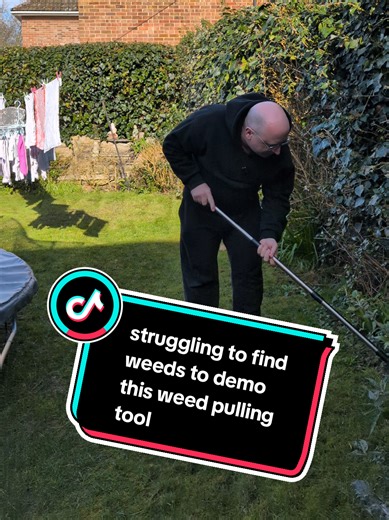 barely spring. so my grass is very weed-free right now. but I get fresh weeds almost on the daily. Tired of bending, kneeling and straining your back while pulling weeds? This 4-claw stand up weed puller tool makes lawn care easier and more efficient. The adjustable 46 inch stainless steel handle lets you remove weeds without bending, while the durable aluminum claw head grips deep taproots from multiple angles for complete root removal. Simply position the weeder over the weed, press down with 