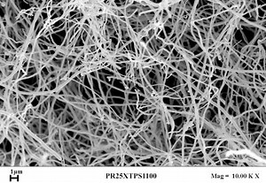 Carbon nanofiber - Alchetron, The Free Social Encyclopedia