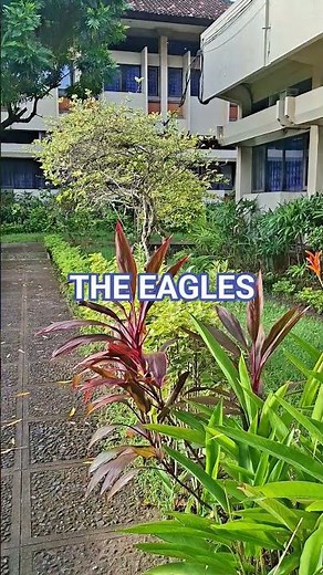 The Eagles Greatest Hits Full Album - The Eagles Best Songs