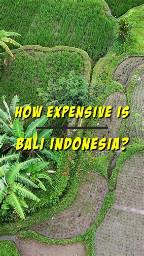How expensive is travelling in Bali in 2026? In this Bali Travel vlog, we break down every dollar from our Bali trip across food, hotels, transport, flights, activities and more! This detailed Bali travel guide 2026 reveals real-world Bali expenses, average Bali food prices and what daily life actually costs, giving you a clear look at Bali cost of living for travellers. We share our honest insights into Bali travel, smart Bali travel tips and how to balance Bali budget travel with comfort, help